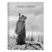 Eichhörnchen - personalisierbar notizblock (Vorderseite)