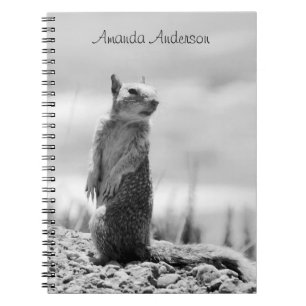 Eichhörnchen - personalisierbar notizblock