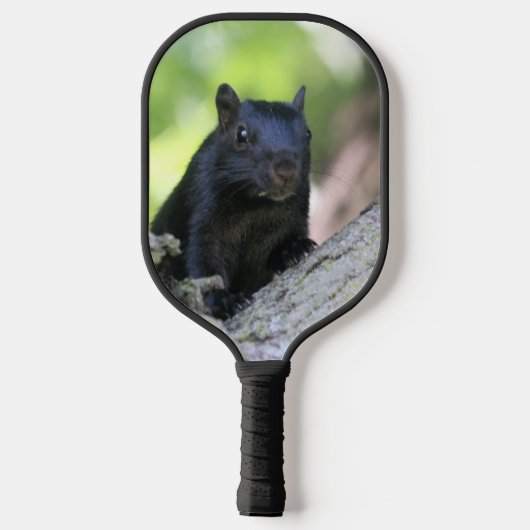 Eichhörnchen Pickleball Schläger (Rückseite)