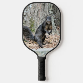 Eichhörnchen Pickleball Schläger
