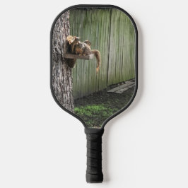 Eichhörnchen Pickleball Schläger