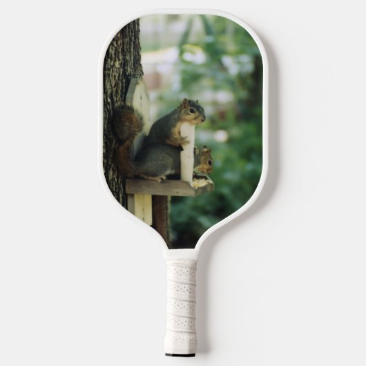 Eichhörnchen Pickleball Schläger (Rückseite)