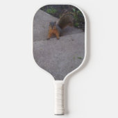 Eichhörnchen Pickleball Schläger (Vorderseite)