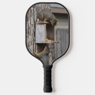 Eichhörnchen Pickleball Schläger