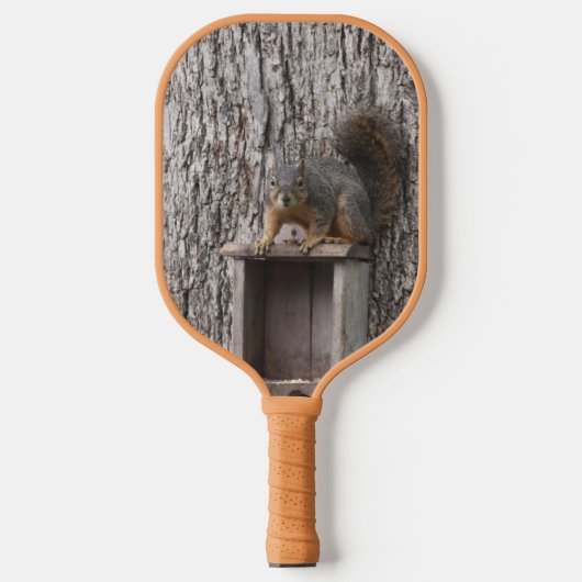 Eichhörnchen Pickleball Schläger (Vorderseite)