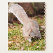 Eichhörnchen-Planer Planer (Rückseite)