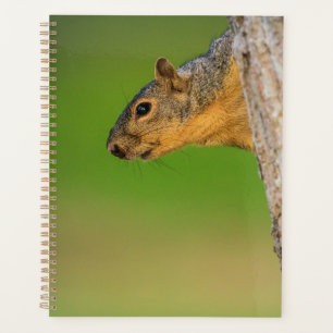 Eichhörnchen-Planer Süße Waldtiere Kunst Planer