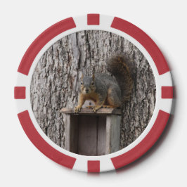 Eichhörnchen Pokerchips