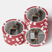 Eichhörnchen Pokerchips (Stapel)