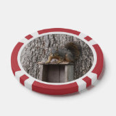 Eichhörnchen Pokerchips (Einzeln)