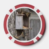 Eichhörnchen Pokerchips (Rückseite)