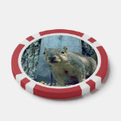 Eichhörnchen Pokerchips (Einzeln)