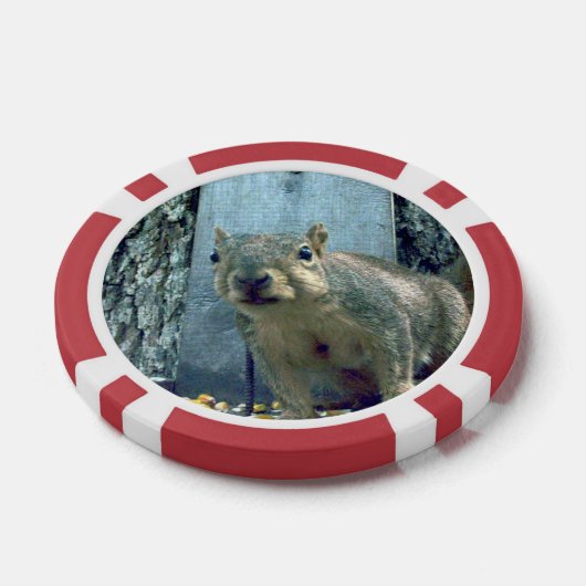 Eichhörnchen Pokerchips (Einzeln)