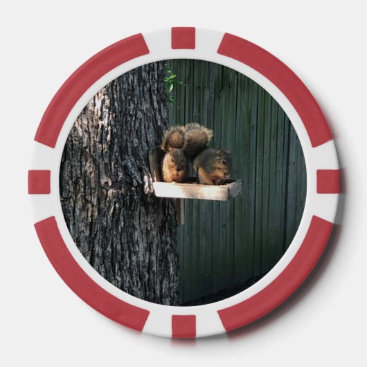 Eichhörnchen Pokerchips (Vorderseite)