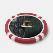 Eichhörnchen Pokerchips (Einzeln)