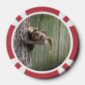 Eichhörnchen Pokerchips (Rückseite)
