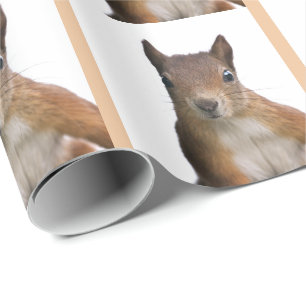 Eichhörnchen-Portrait-Geschenkpapier Geschenkpapier