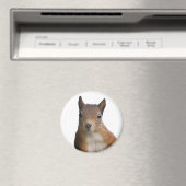 Eichhörnchen Portrait Magnet (In Situ (Geschirrspüler))