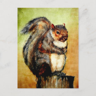 Eichhörnchen Portrait Postkarten