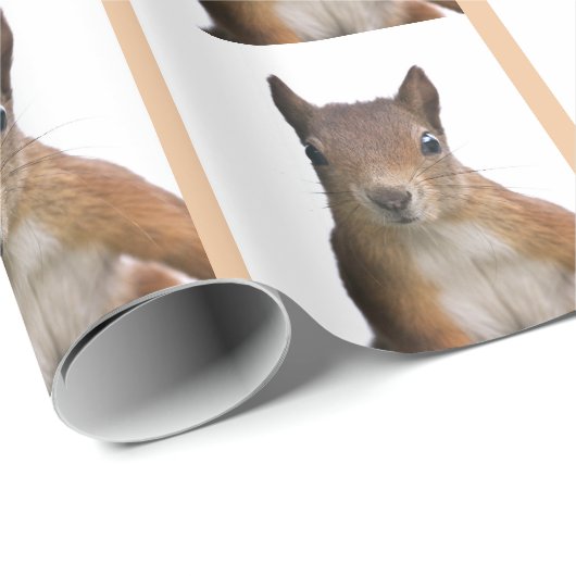 Eichhörnchen-Portraitpapier Geschenkpapier (Rolleneckpunkt)