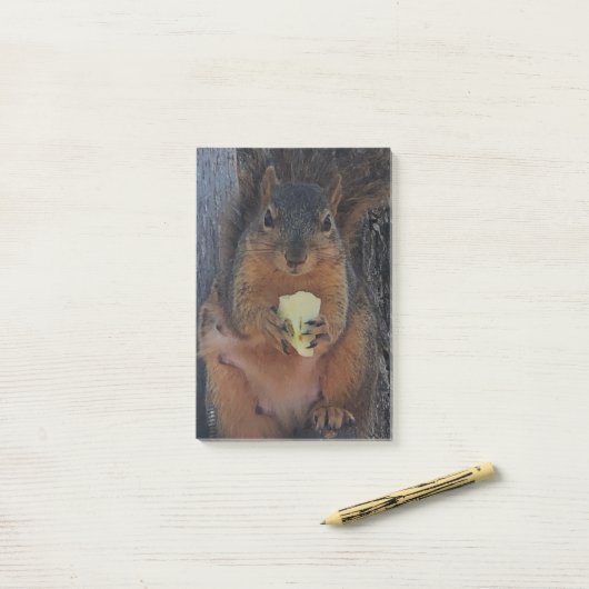 Eichhörnchen Post-it Klebezettel (Auf Schreibtisch)
