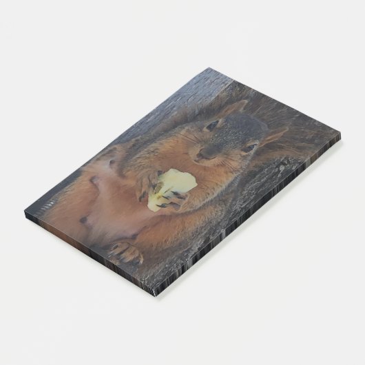 Eichhörnchen Post-it Klebezettel (angewinkelt)