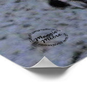 Eichhörnchen Poster (Ecke)