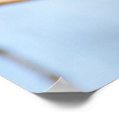 Eichhörnchen Poster (Ecke)