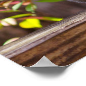 Eichhörnchen Poster (Ecke)