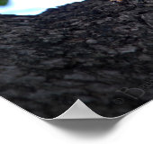 Eichhörnchen Poster (Ecke)