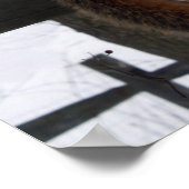 Eichhörnchen Poster (Ecke)