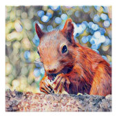 Eichhörnchen Poster (Vorderseite)
