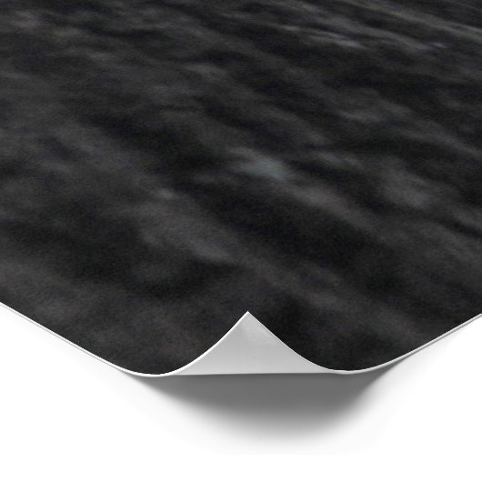 Eichhörnchen Poster (Ecke)