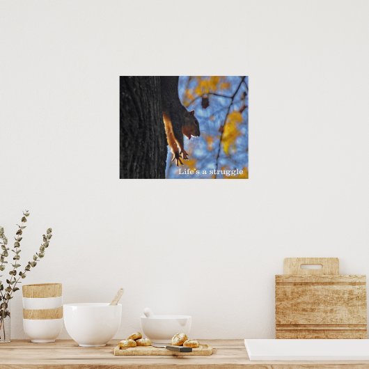 Eichhörnchen Poster (Küche)