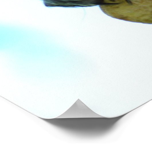 Eichhörnchen Poster Print (Ecke)