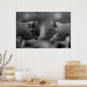 Eichhörnchen Poster/Print Poster (Küche)