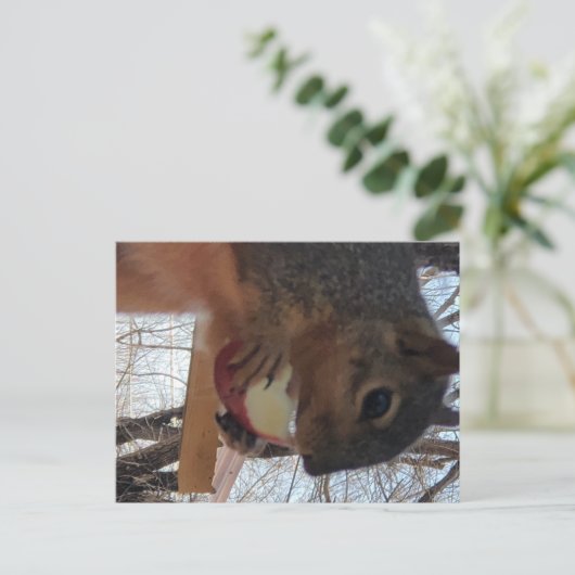 Eichhörnchen Postkarte (Stehend Vorderseite)