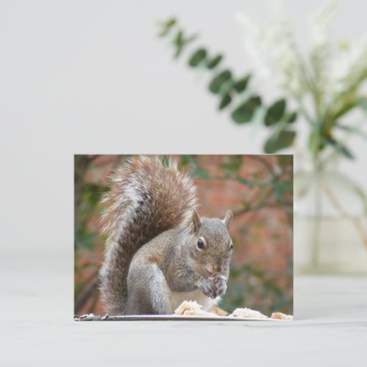 Eichhörnchen Postkarte (Stehend Vorderseite)