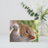 Eichhörnchen Postkarte (Stehend Vorderseite)