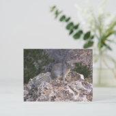 Eichhörnchen Postkarte (Stehend Vorderseite)