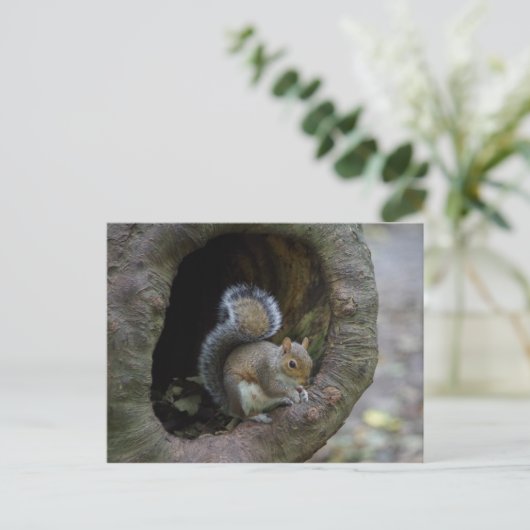 Eichhörnchen Postkarte (Stehend Vorderseite)