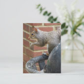 Eichhörnchen Postkarte (Stehend Vorderseite)