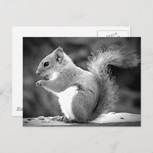 Eichhörnchen Postkarte (Vorne/Hinten)