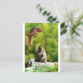 Eichhörnchen Postkarte (Stehend Vorderseite)