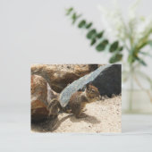 Eichhörnchen Postkarte (Stehend Vorderseite)