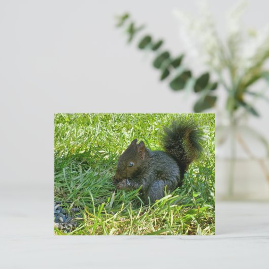 Eichhörnchen Postkarte (Stehend Vorderseite)
