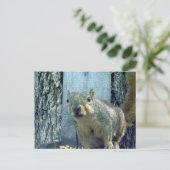 Eichhörnchen Postkarte (Stehend Vorderseite)