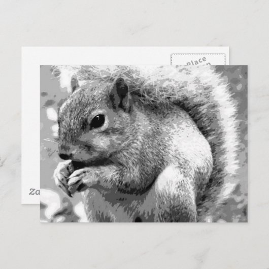 Eichhörnchen Postkarte (Vorne/Hinten)