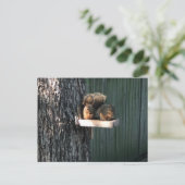Eichhörnchen Postkarte (Stehend Vorderseite)
