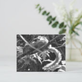 Eichhörnchen Postkarte (Stehend Vorderseite)